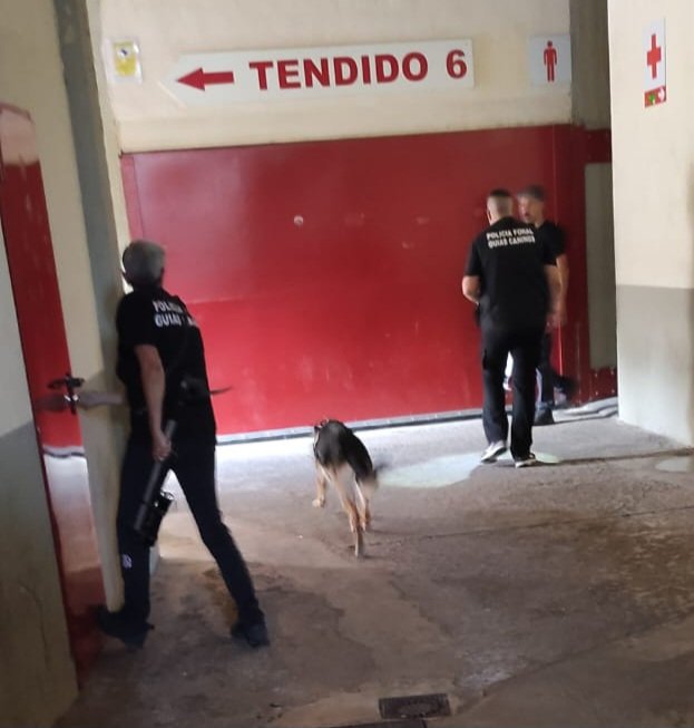 policiaforal_na's tweet image. "Tina" trabaja en la requisa de la plaza se toros #SF24. Gran compañera y mejor profesional.
#GuíasCaninos
#K9