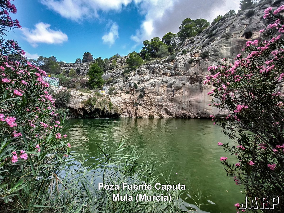 MeteOrihuela's tweet photo. ¡Qué bonito rincón natural! Hace unos días, en estos primeros compases del mes de #julio2024, ruta circular por el entorno de la Rambla Perea y Fuente Caputa, en #Mula (#Murcia). Un lugar muy visitado en #verano para darse un chapuzón. Imágenes: @ruiz63. https://t.co/r2A5Oe2MuZ