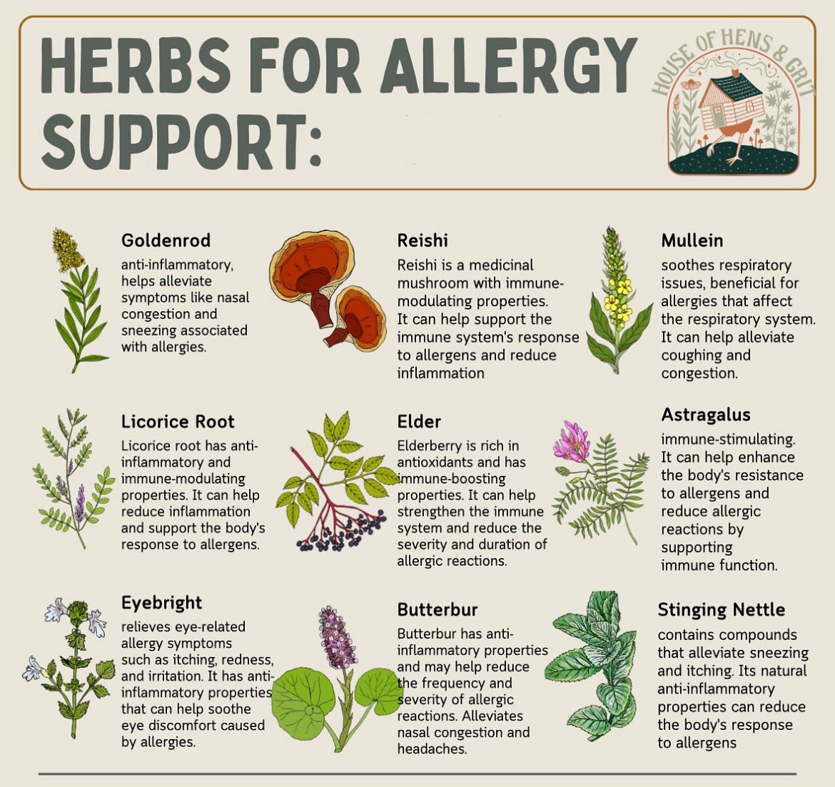 FredsFarm247's tweet photo. Allergy season is here

Herbs that support allergies👇🏽 https://t.co/bOMrC6sfK1
