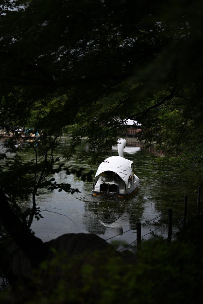 T_M_bass's tweet photo. 井の頭公園。いつもの適当な写し方。

何時行っても人が居て、流石。

Nikon Zf +Z 50mm f/1.2 https://t.co/wGoC6Y4BWY