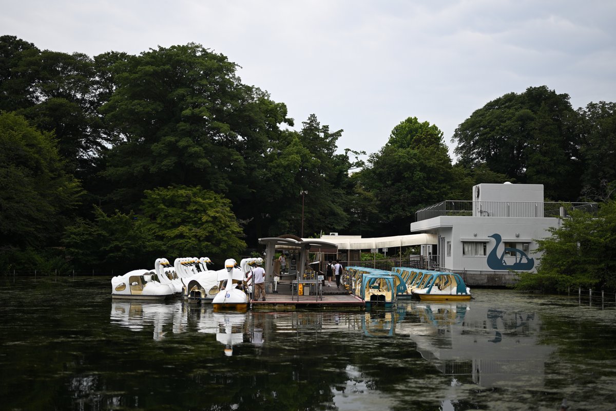 T_M_bass's tweet photo. 井の頭公園。いつもの適当な写し方。

何時行っても人が居て、流石。

Nikon Zf +Z 50mm f/1.2 https://t.co/wGoC6Y4BWY
