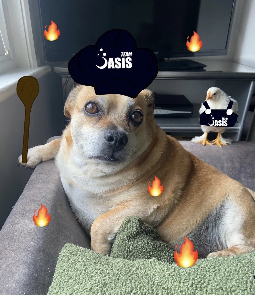 Oasis Verde tweet media