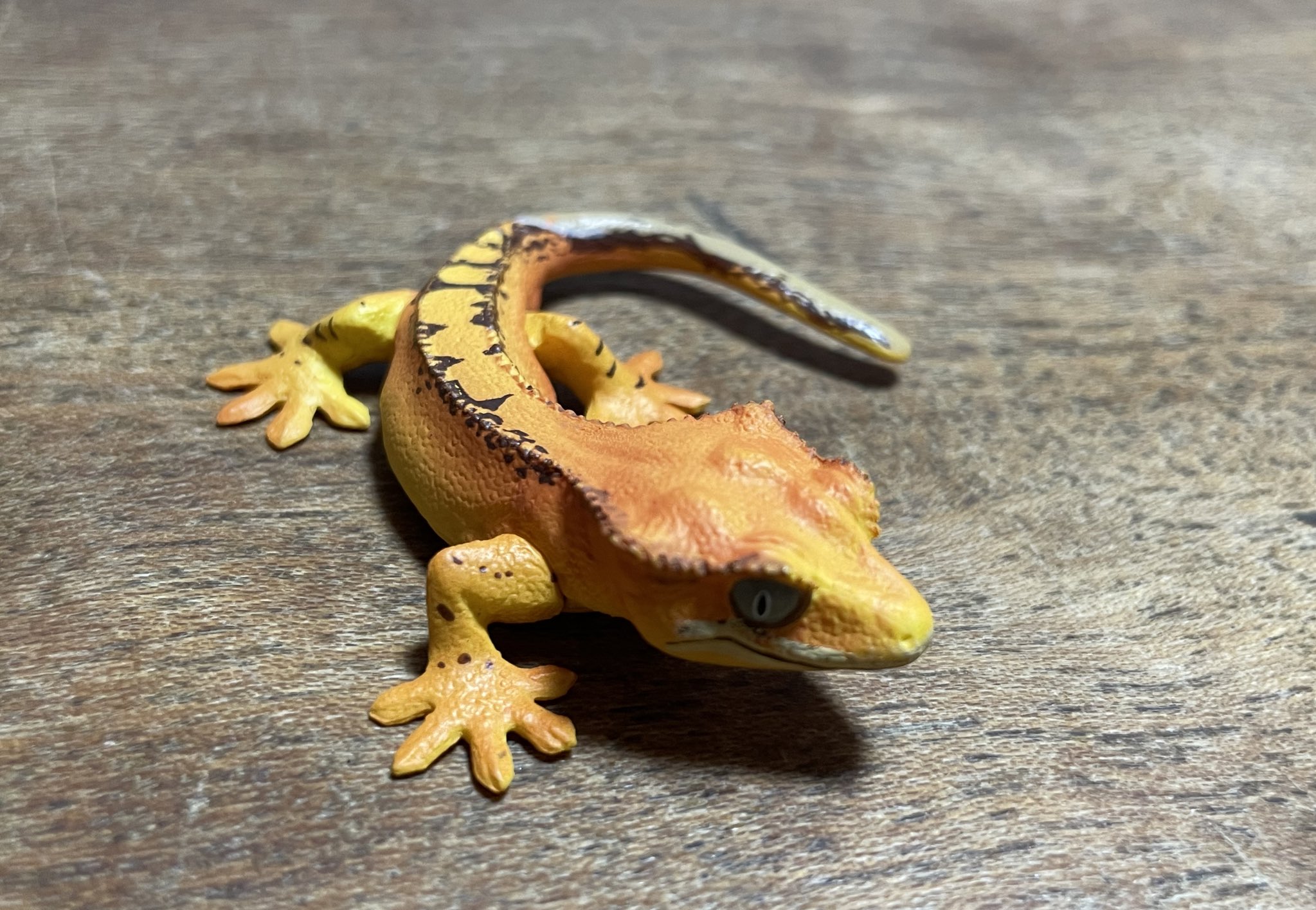 海洋堂ヤモリ大全Ⅱ クレステッドゲッコー ヒョウモントカゲモドキ