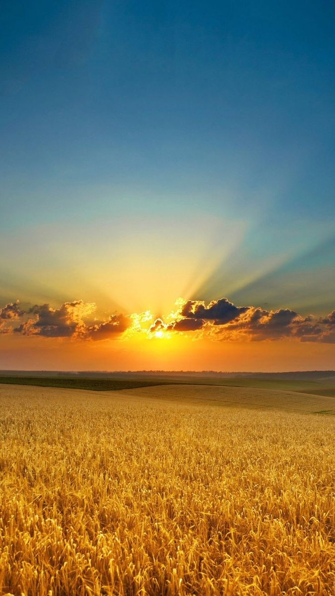 Optimistic__Chz's tweet photo. Pakistan's agri exports hit a record $8 billion from July 2023 to June 2024, marking a major milestone for the agricultural sector.

#Pakistanagriculture
#Pakistanexports
#Pakistan #Agriculture https://t.co/vuccYiKR9z