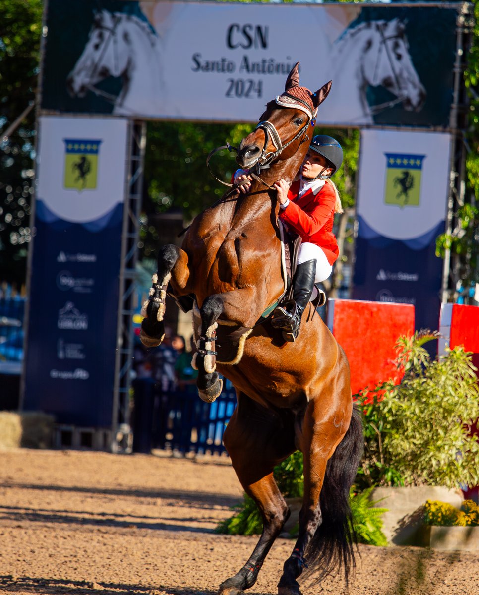 AlexandroAuler's tweet photo. CSN Santo Antônio 2024-SHB. Rio de Janeiro-RJ. Brasil. 📸@HORSESBYAULER 
#equestrianphotography 
#showjumping
#hipismo 
#rio https://t.co/kxPxJNk1Ed