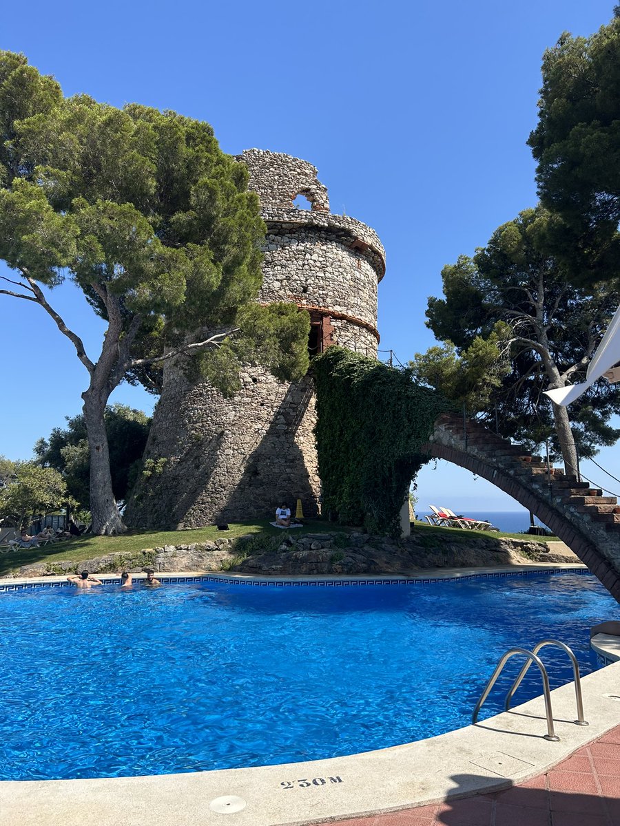 Stuart Ralph tweet media