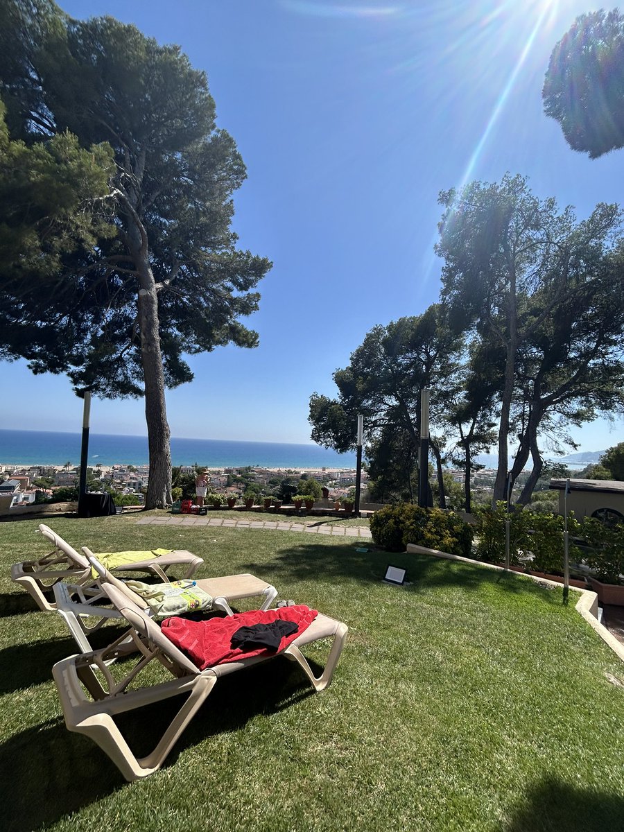 Stuart Ralph tweet media