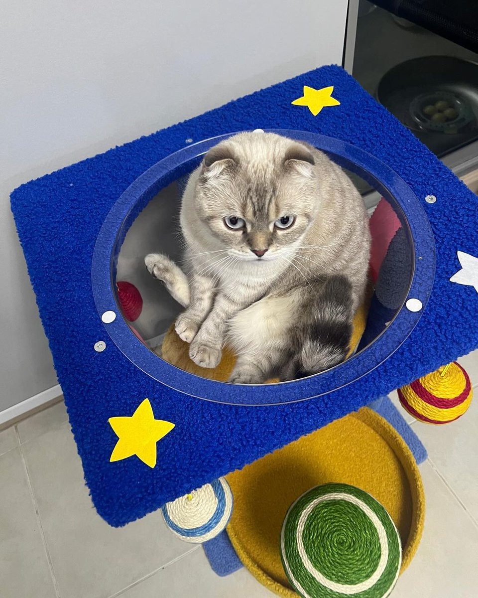 TrendforGulf's tweet photo. IG Updated: hazardisacat 

2 หนุ่มมารายงานตัวครับ🐱🐈

GULF KANAWUT 
@gulfkanawut
#GulfKanawut
#กลัฟคณาวุฒิ 
#น้องอาซาร์ของพี่กลัฟ 
#อาซาร์แมวเซา #ก็องเต้แมวซน https://t.co/nkqGNRqwV4