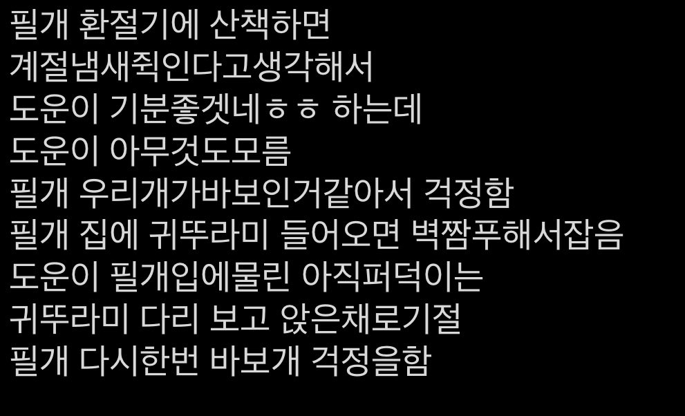 좋죽 (@doasyoufeeeel) on Twitter photo 