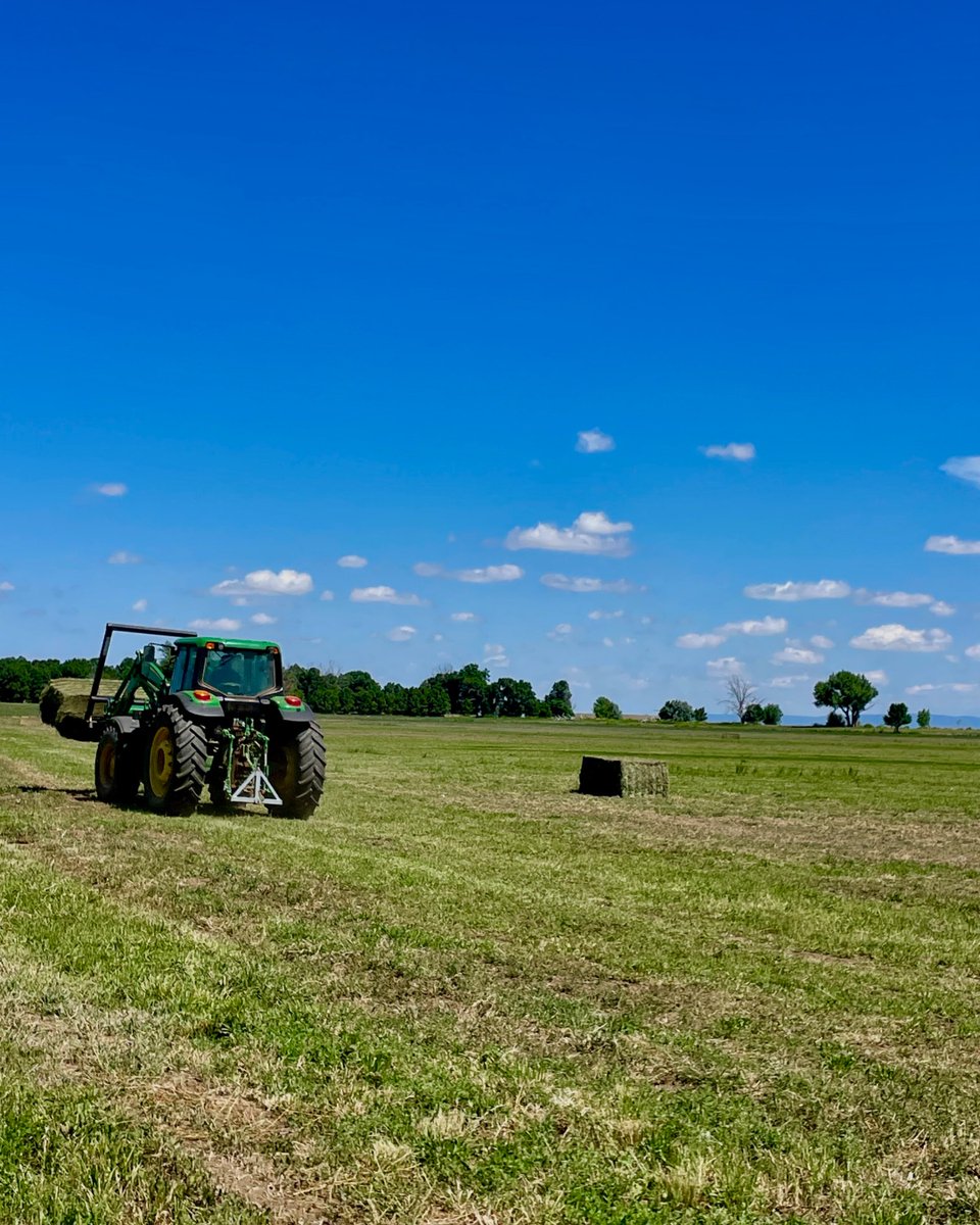 FredEichler's tweet photo. Jeb was baling hay and Seth was picking it up.
#everythingeichler #fulldrawoutfitters #fredeichler #johndeere #makinghay #hayseason #hayseason2024 #farmwork #farming #agriculture #grow #teamwork #workingfamily https://t.co/gvAqe5hEvg