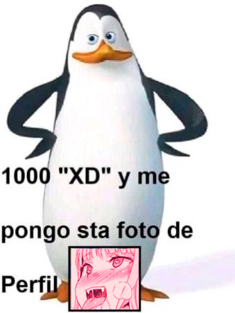 KEECHI VIRTUAL🐰 tweet media