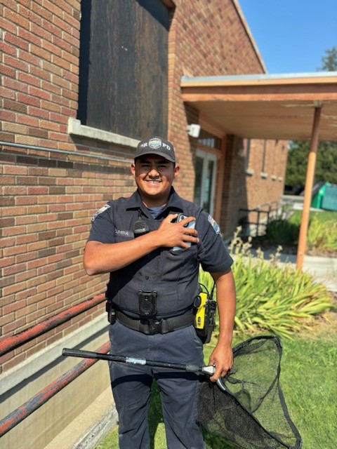 BenCoWAGov's tweet photo. Truly, never a dull moment in Prosser!
On Wednesday, several baby ducks were discovered stuck outside of the Courthouse. With the help of the City of Prosser Government Community Officer, the ducks were rescued. β€οΈβ€οΈ
#bentoncountywa #prosserwa #babyanimals #socute https://t.co/vXNO0xp3ta