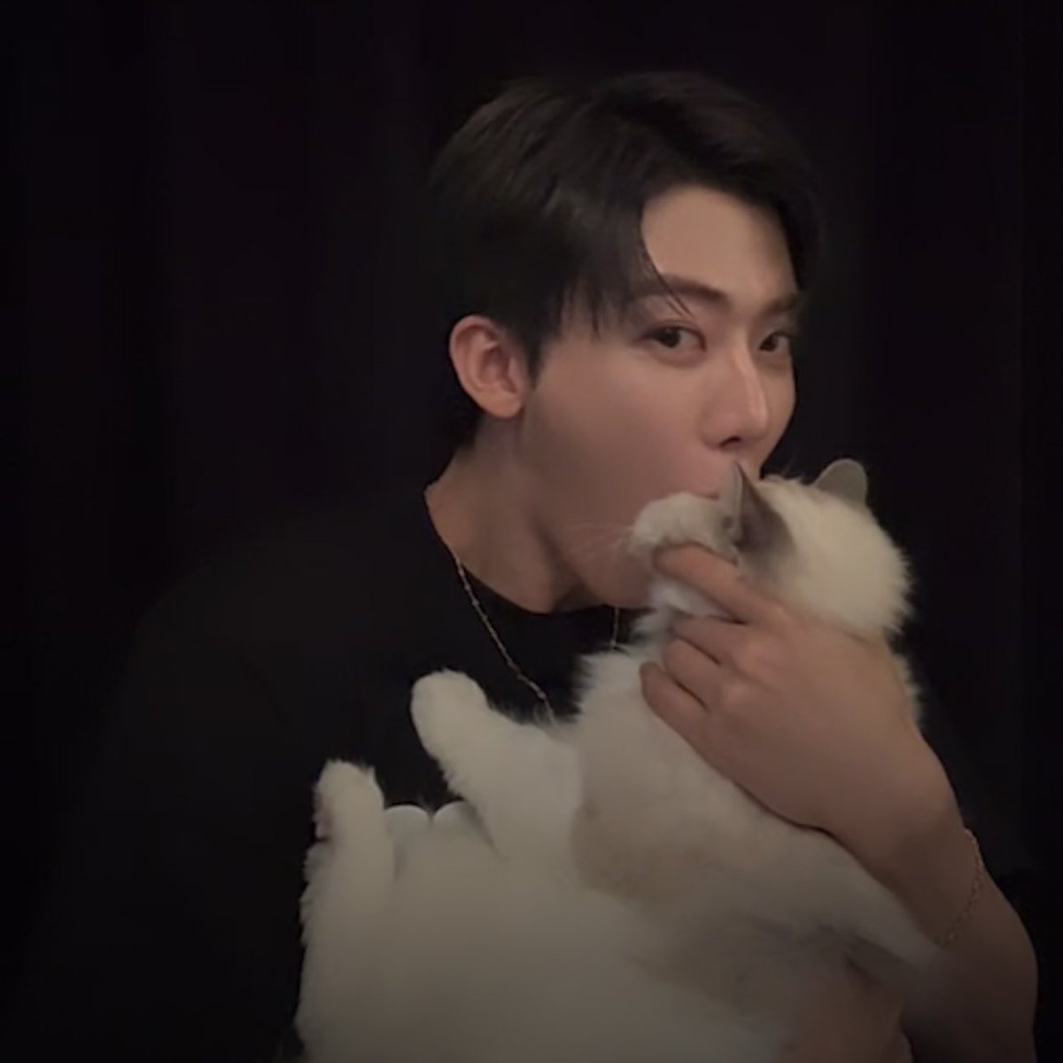 แอคใหญ่13.3M.อมแมว555555555555555555555555555555555555555555555555555555555555555555555555555555