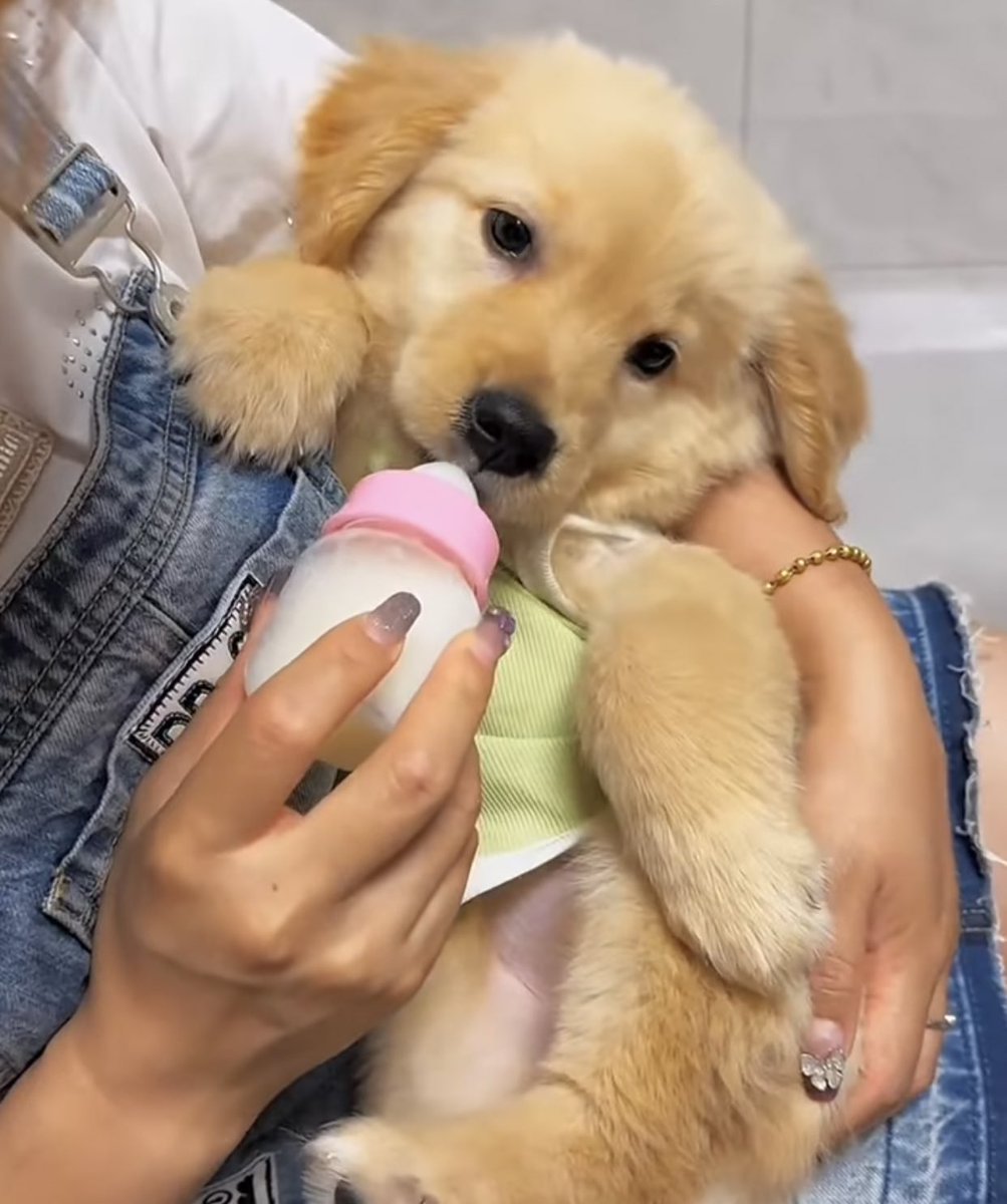 takemybear 🐶 tweet media