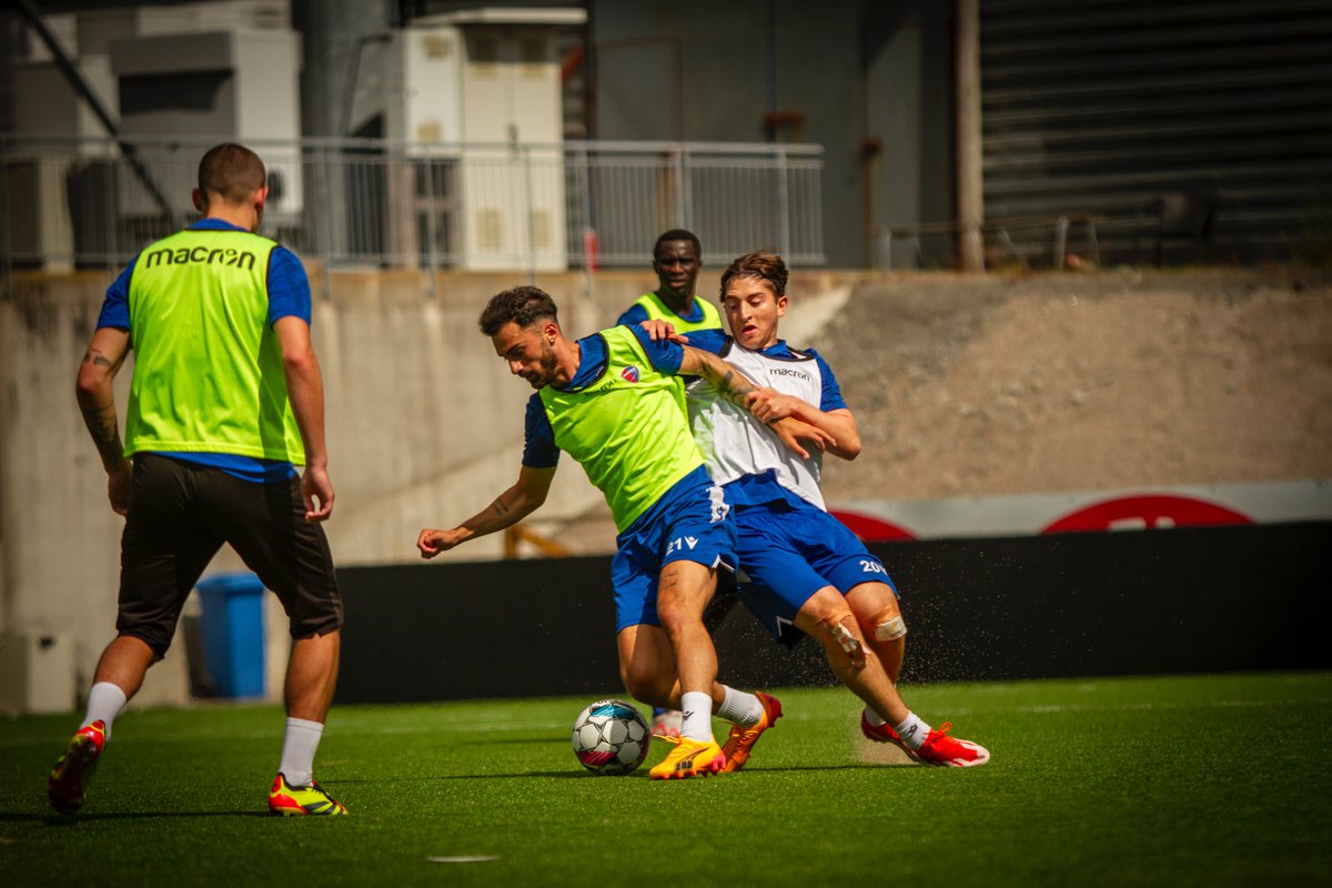 Sandefjord Fotball tweet media