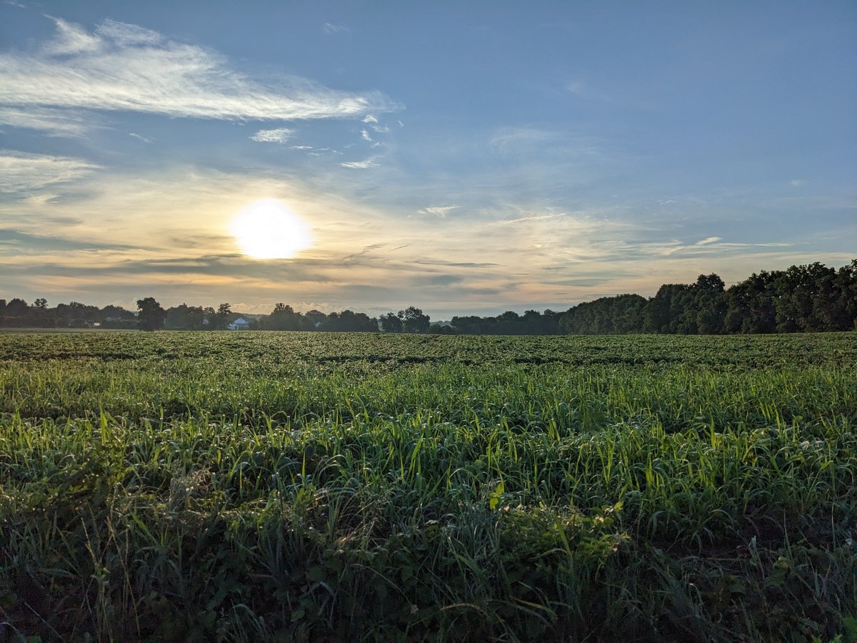 chadptorres's tweet photo. It still amazes me how great the Pixel 4 can be with photography!

All auto no edit. 

#teampixel
#pixel4
#ShotOnSnapdragon https://t.co/a0ByIJqaH1