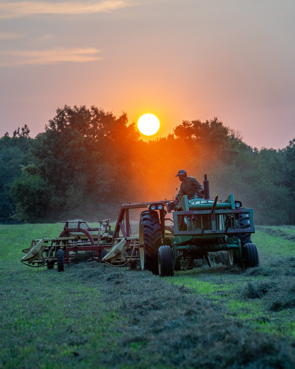 ISDAgov's tweet photo. Make hay while the sun shines. βοΈ #FarmSceneFriday
πΈ: Keith James from Howe https://t.co/mM8y0ipKBz