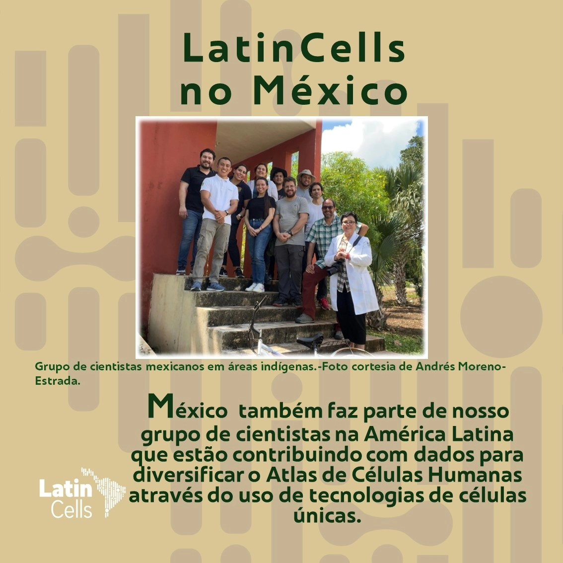 LatinCells tweet media
