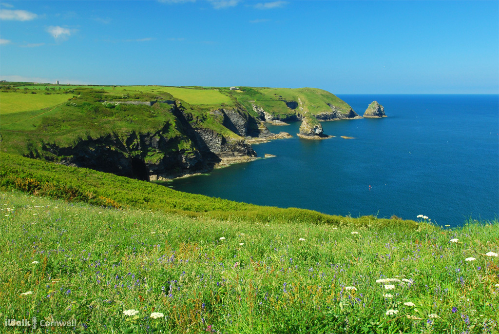 iWalk Cornwall 〓〓 tweet media