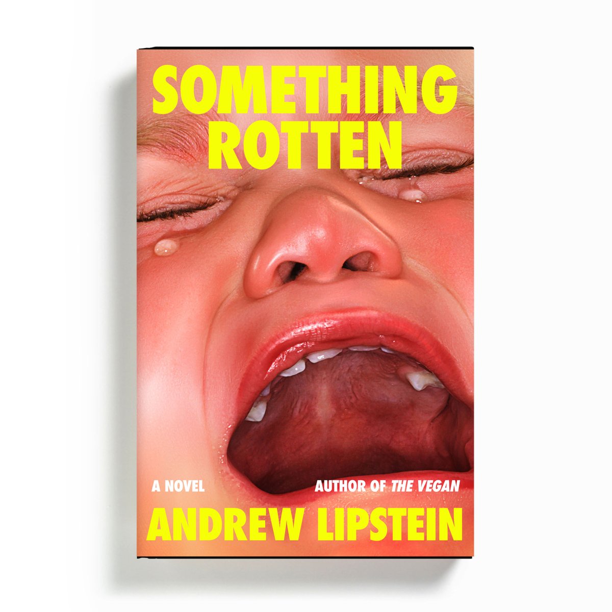 ailipstein's tweet image. SOMETHING ROTTEN, my 3rd novel, arrives January 21 from @fsgbooks. It's about authenticity, mortality, masculinity, and, above all, the nature of truth.

us.macmillan.com/books/97803746…

Cover by @OKAY_NA