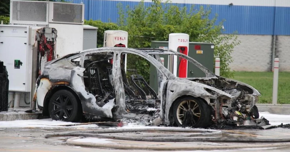 Maximilian tweet media