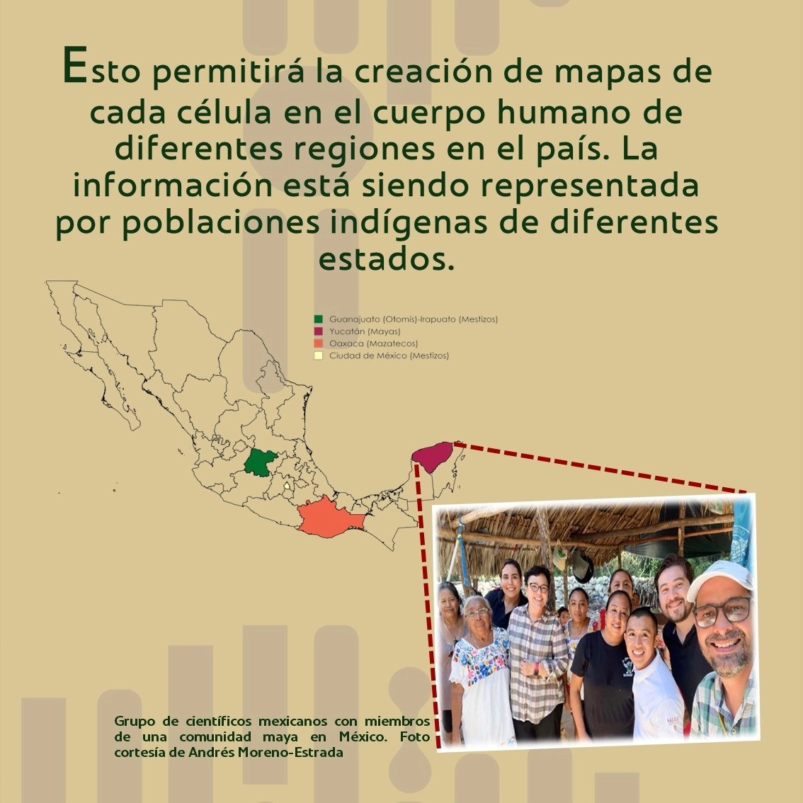 LatinCells tweet media