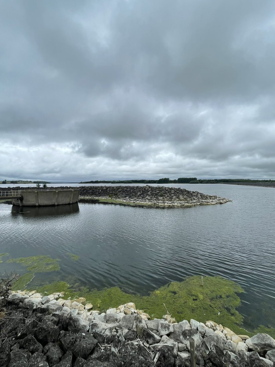 Miss Samrai - English tweet media