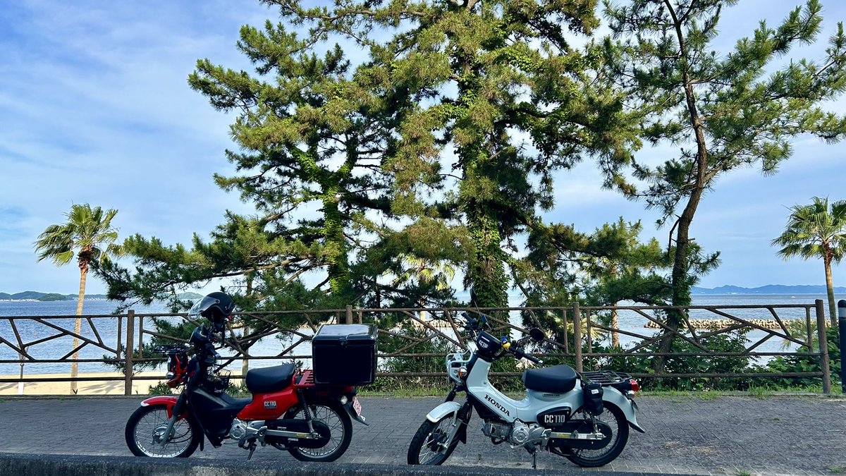 ccrider_21's tweet photo. この前念願のカブツーしたんだ〜って話 https://t.co/oot2WPmGGE