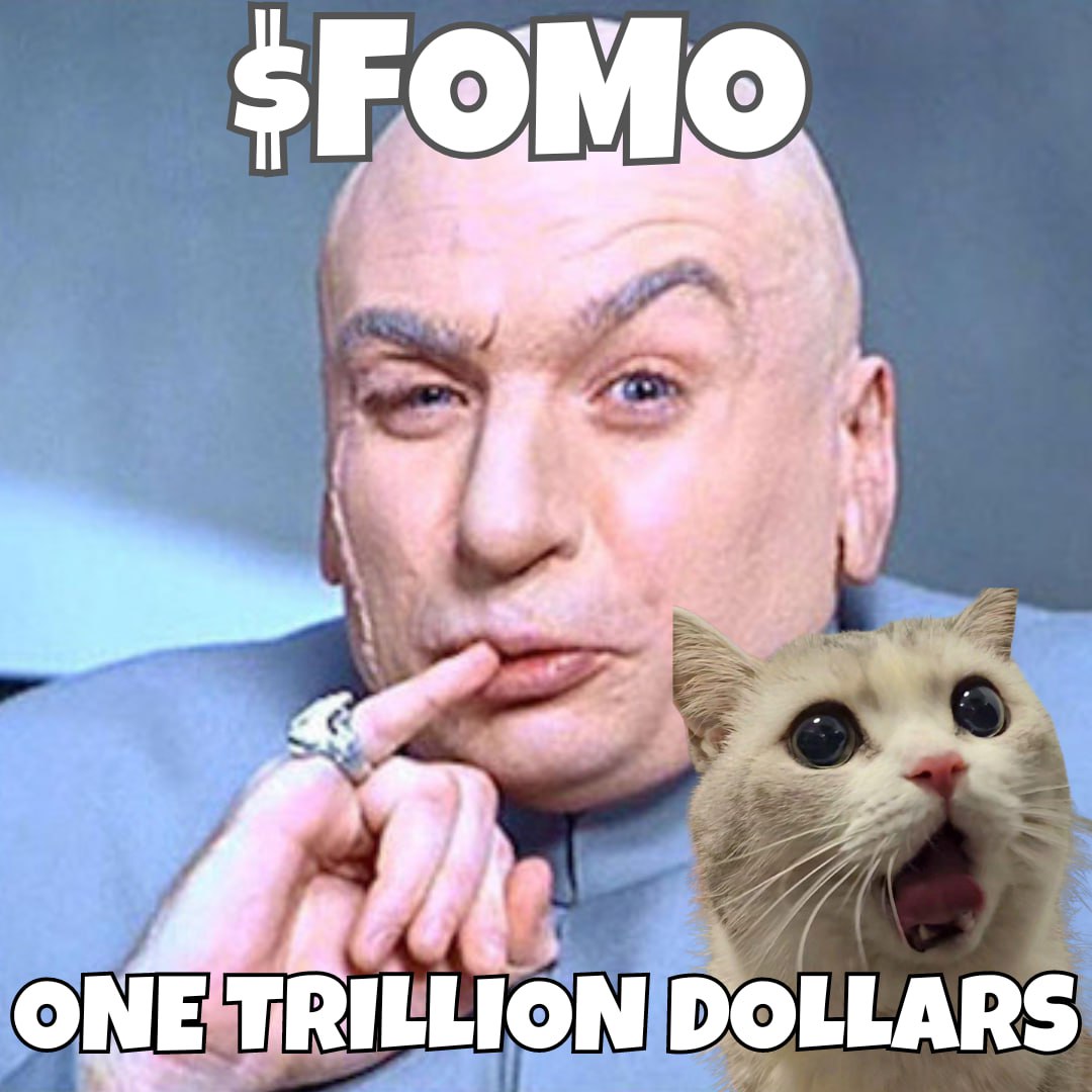 how high does the cat need to go before you $FOMO?