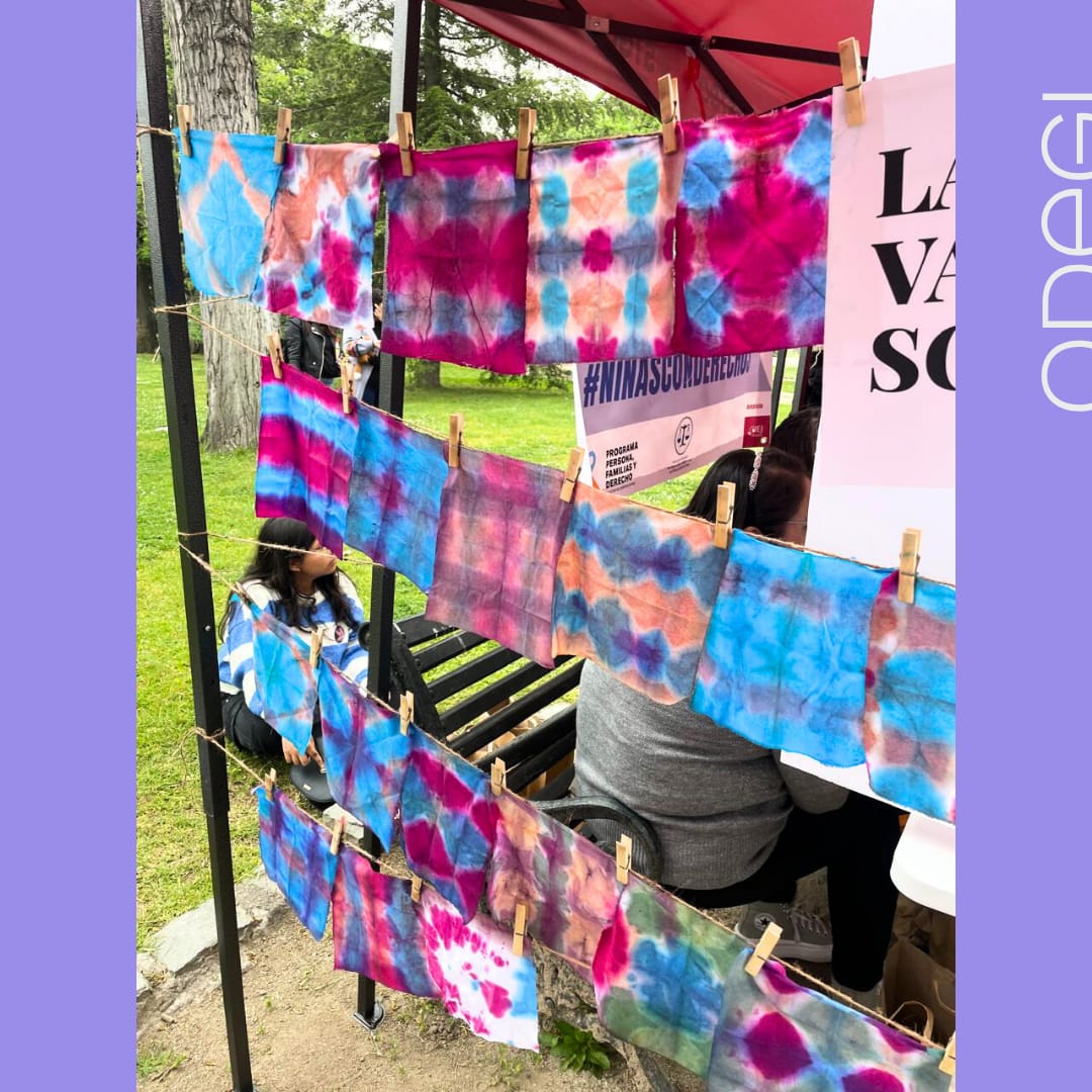 ODEGI Chile tweet media