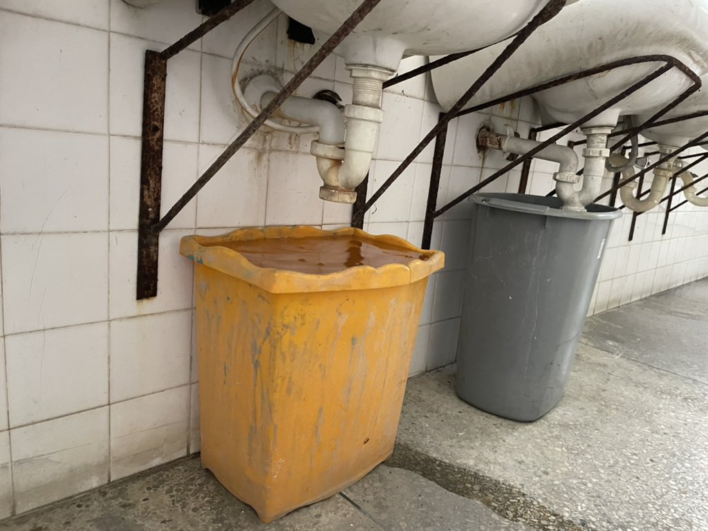 Daniela Testa tweet media