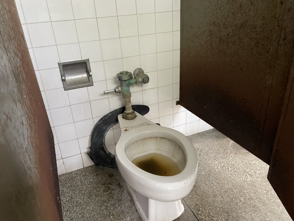 Daniela Testa tweet media