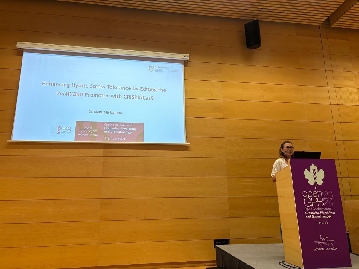 Open-GPB2024 Conference (@opengpb2024) on Twitter photo Flash talk: Enhancing Hydric Stress Tolerance by Editing the VviMYB60 Promoter with CRISPR/Cas9.
Manuela Campa <a href="/StellenboschUni/">Stellenbosch University</a> Flash talk: Enhancing Hydric Stress Tolerance by Editing the VviMYB60 Promoter with CRISPR/Cas9.
Manuela Campa <a href="/StellenboschUni/">Stellenbosch University</a>