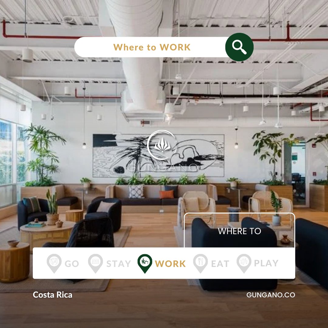 GunganoHubs's tweet photo. 💻 #WheretoWork: #Coworking spaces are great. Benefit from a 10% Gungano discount: https://t.co/4vLxbJNmkC
#DigitalNomad #Gungano https://t.co/uh415dcXoq