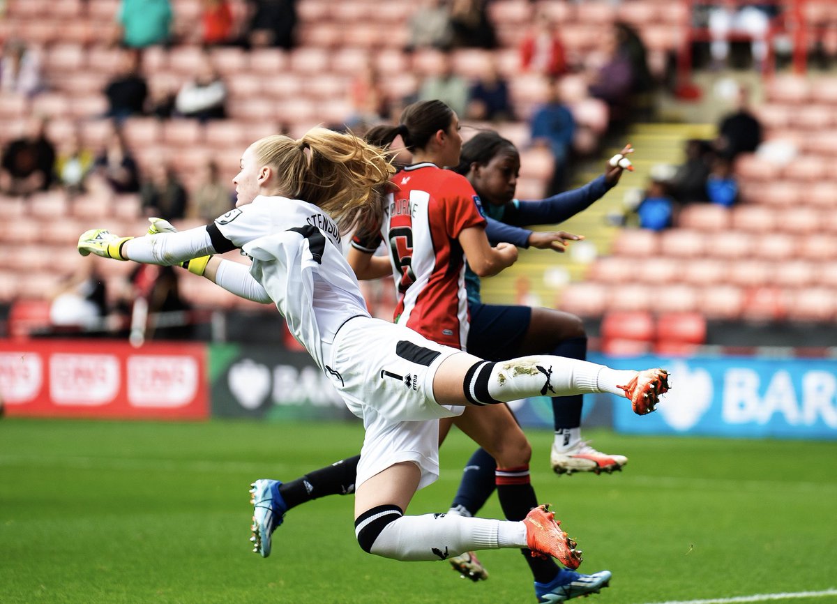 Fran Stenson tweet media