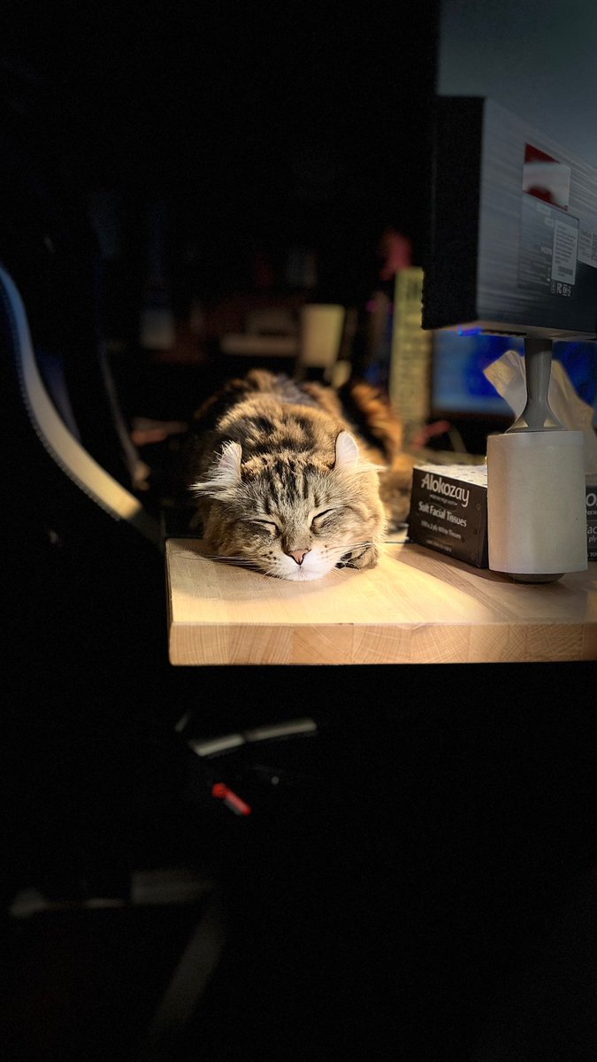 Ai Jiang || 江艾 || 🇨🇳🇨🇦 tweet media