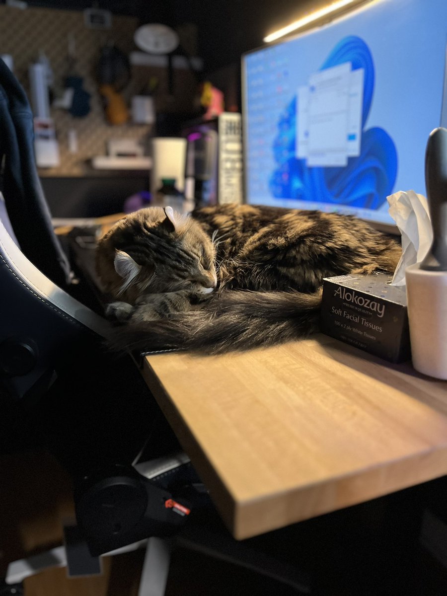 Ai Jiang || 江艾 || 🇨🇳🇨🇦 tweet media