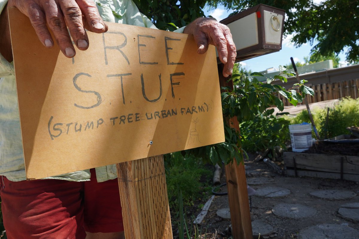 OurTownReno's tweet photo. Mark Hebert, Keeping Half Sane Cultivating a Thriving Midtown Urban Garden.  Read our #keeprenogreen #humansofreno article here:  https://t.co/KqrSOuJxIX https://t.co/w6m8iKEaA5