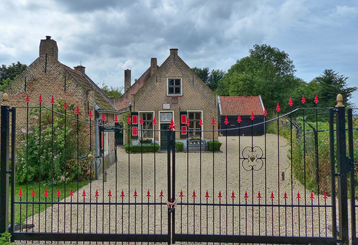 fvbeers's tweet photo. #boerderij de #Druuve, #Oudelandseweg 75, #Ouddorp
op foto 1 uit 2024 prachtig geflankeerd door bloeiende #Lavatera, foto 2 is uit 2018.
De boerderij fungeerde vroeger als een soort landcafรฉ voor boerenarbeiders en reizigers... lees meer: https://t.co/2l8Lgtc22R
@EilandGO https://t.co/pXMtl0kmKB