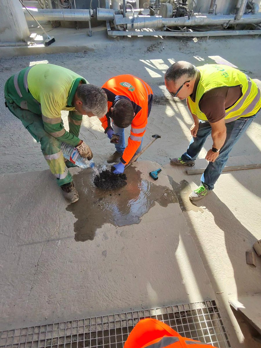 Único Green tweet media