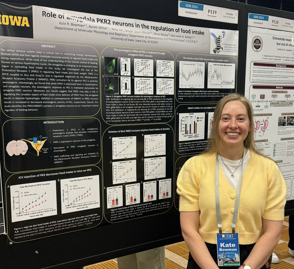 LabSebag's tweet photo. Kate Bowman, my amazing student, talking about Prokineticin receptors at SSIB 24. @SSIBsociety @uiowa https://t.co/nWaW36mIHl