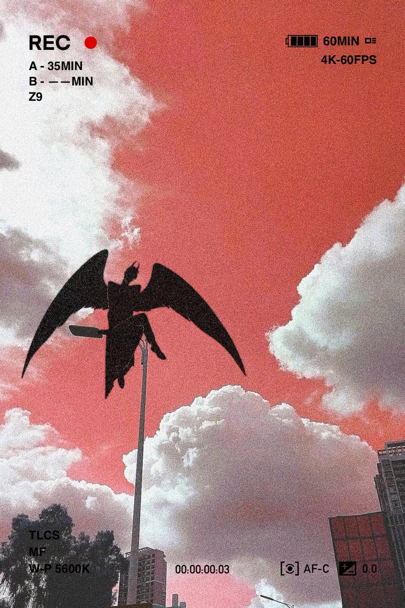 还有这个👉👈