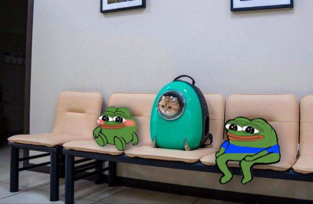Baby Pepe tweet media