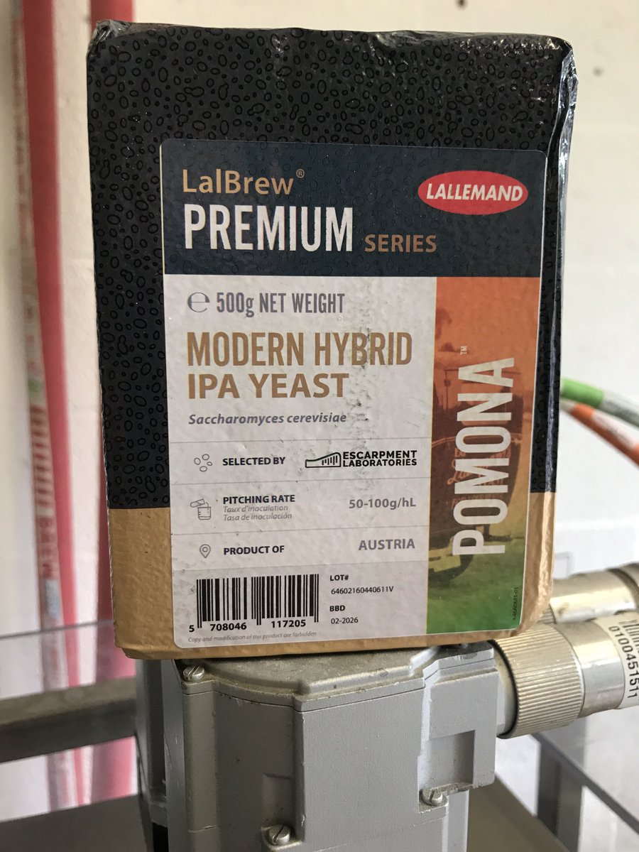 Belleville Brewing (@bellevillebrew) on Twitter photo Thanks to AndyPaterson <a href="/lallemandy1/">Andrew Paterson</a> we have a new yeast strain to try out today. Pomona from Lallemand. Another fruit bomb will be coming to London in a couple of weeks time Thanks to AndyPaterson <a href="/lallemandy1/">Andrew Paterson</a> we have a new yeast strain to try out today. Pomona from Lallemand. Another fruit bomb will be coming to London in a couple of weeks time