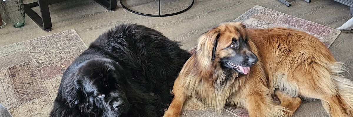 Jason stanek (@jasonstane94003) on Twitter photo 