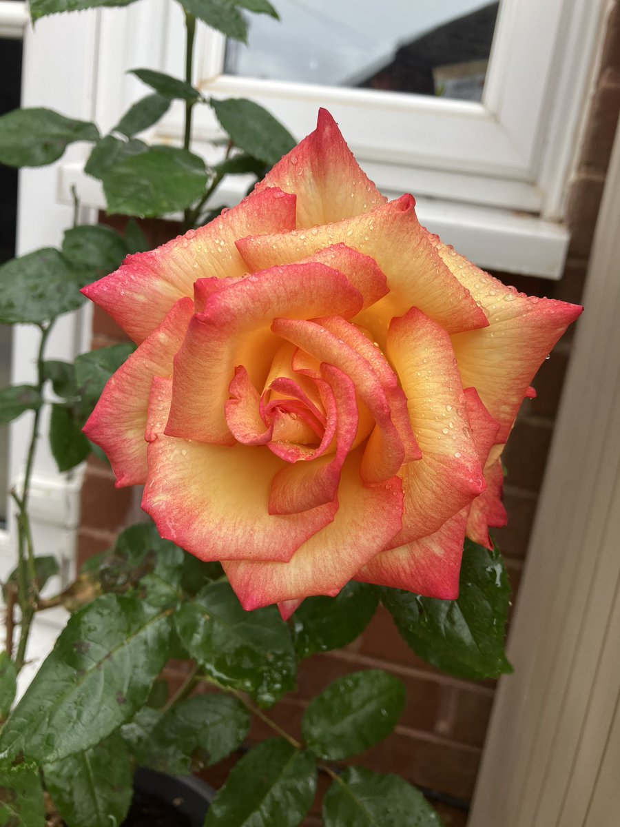 Ellessjay tweet media