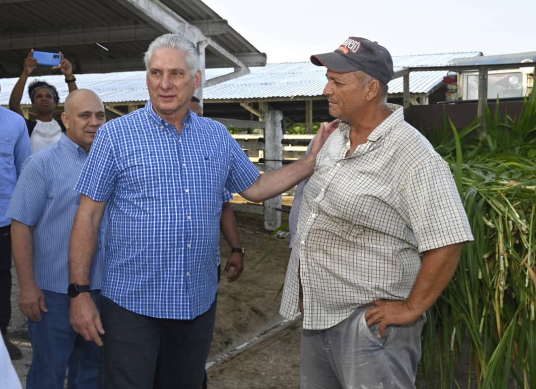 <a href="/DiazCanelB/">Miguel Díaz-Canel Bermúdez</a> 🐄| Hasta la vaquería Pradera Verde, perteneciente a la Empresa Agropecuaria Bacuranao, llegó luego <a href="/DiazCanelB/">Miguel Díaz-Canel Bermúdez</a> acompañado por <a href="/DrRobertoMOjeda/">Dr. Roberto Morales Ojeda</a>.

Unos 14 meses atrás aquí inició un programa de desarrollo bufalino que se ha ido consolidando.