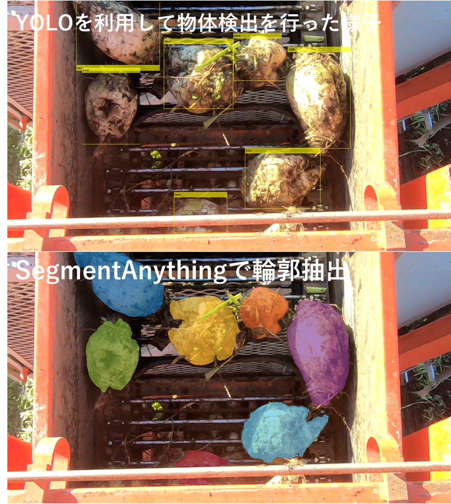imvisionlabs's tweet image. #SegmentAnything を利用して農作物（テンサイ）のセグメンテーションを行いました。物体検出により対象のバウンディングボックスを作成し、それを入力として、輪郭の抽出を行っています。セグメンテーションを行うことで農作物の面積などを求められる可能性があります
#YOLO
