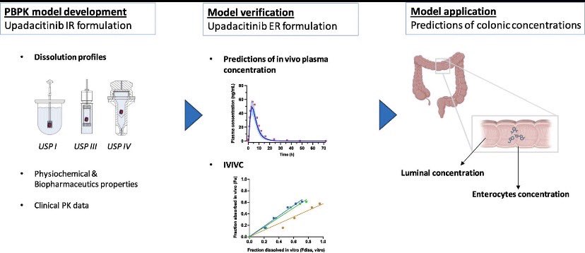 Mine Orlu (@mineorluucl) on Twitter photo Paper alert 📢 We report predictive capability of USP apparatuses and use of USP IV data & PBPK model to predict drug levels in colon <a href="/JCRnEDITORS/">J Controlled Release</a> Full access sciencedirect.com/science/articl… Many thanks to <a href="/ColotanItn/">COLOTAN - ITN</a> for funding Paper alert 📢 We report predictive capability of USP apparatuses and use of USP IV data & PBPK model to predict drug levels in colon <a href="/JCRnEDITORS/">J Controlled Release</a> Full access sciencedirect.com/science/articl… Many thanks to <a href="/ColotanItn/">COLOTAN - ITN</a> for funding