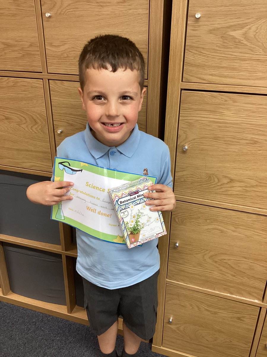 Science Wood Fold tweet media